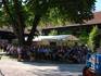 dsc09302.jpg